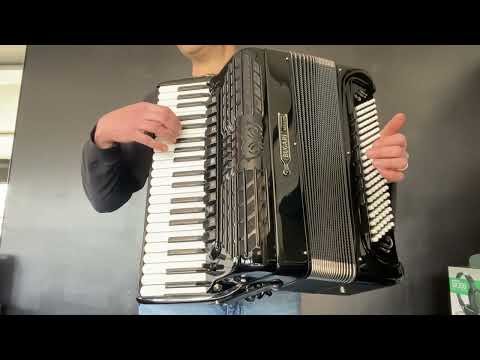 Bugari 288/Essenzia Binci Reeds #accordionshop #bugari #binci